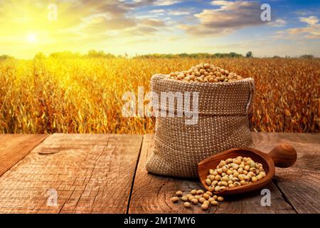 semi di soia in sacco di burlap e paletta di legno sul tavolo con campo maturo sul tramonto come sfondo Foto Stock