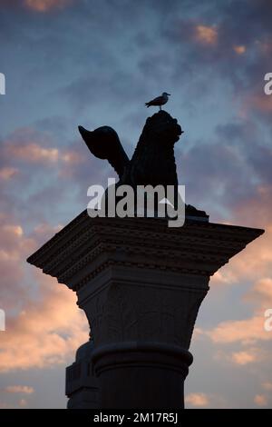 Una silhouette vista della colonna di San Marco con un gabbiano sulla sommità contro il cielo nuvoloso crepuscolo a Venezia Foto Stock