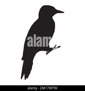 Illustrazione di Woodpecker Silhouette Illustrazione Vettoriale
