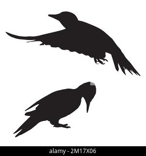 Illustrazione di Woodpecker Silhouette Illustrazione Vettoriale