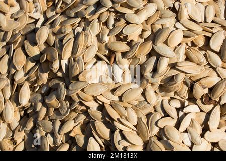 Quantità abbondante di sgranati Semi di zucca nella vista Foto Stock