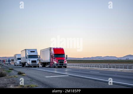 Convoglio di un trasporto professionale commerciale di grado industriale di diversi semirimorchi con semirimorchi che guidano sul rettilineo highwa Foto Stock