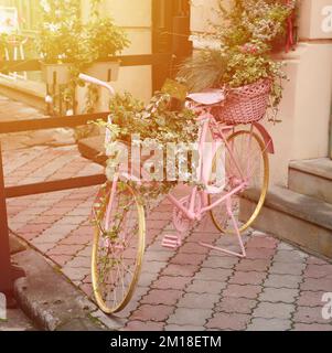 Modello di una vecchia bicicletta rosa dotata di cesto di fiori come decorazione esterna per ristoranti e giardini Foto Stock