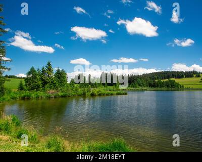 Vista panoramica sul laghetto di Kogel nel Allgäu / Baviera in estate di fronte a un cielo blu con nuvole bianche. Foto Stock