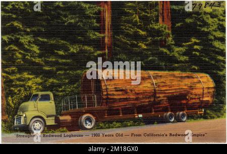 'Strathan's Redwood Loghouse -- 1900 anni -- from California's Redwood Empire', Historic Buildings, Tichnor Brothers Collection, cartoline degli Stati Uniti Foto Stock