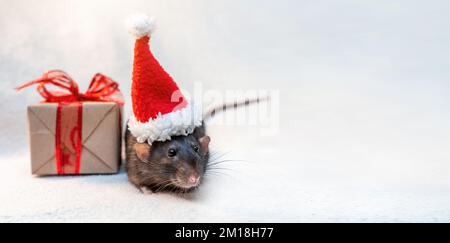 Regalo di cappello di Santa Rat. Simbolo del Capodanno cinese. Divertente ratto nero Dumbo in un cappello rosso di Santa e una scatola regalo con un nastro rosso su uno sfondo bianco. Foto Stock