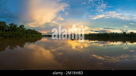 Amazonia - muro di verde foresta tropicale della giungla amazzonica, verde inferno della Amazonia. Selva al confine tra Brasile e Perù. Fiume Yavari in J Foto Stock