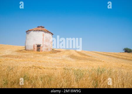 Piccionaia. Noviales, provincia di Soria, Castilla Leon, Spagna. Foto Stock