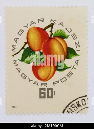 Foto di un francobollo dall'Ungheria Magyar Kajszi Apricots Exposition serie 1964 Foto Stock