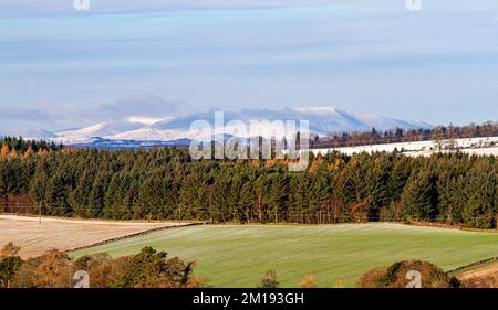 Dundee, Tayside, Scozia, Regno Unito. 11th Dec, 2022. UK Weather: Il nord-est della Scozia sta vivendo il sole di dicembre, con alti intorno a 3°C. Durante la notte, nevicate e brina a Tayside hanno causato un significativo accumulo di neve ghiacciata che copre le colline Sidlaw di Dundee e la campagna circostante. Credit: Dundee Photographics/Alamy Live News Foto Stock
