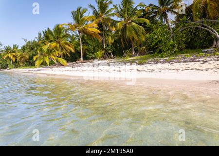 Palme e spiaggia tropicale idilliaca a Punta Cana, mare turchese dei caraibi Foto Stock