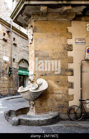 Fontana dello Sprone, fontana disegnata in stile manierista dallo scultore Bernardo Buontalenti nel 17th° secolo, Firenze, quartiere Oltrarno, Italia Foto Stock