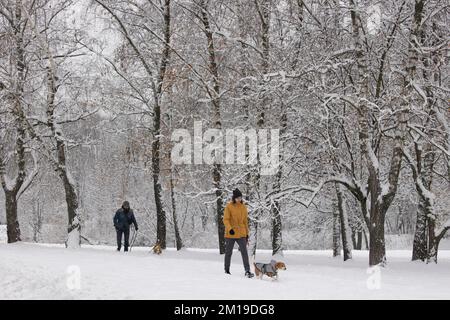 Mosca, Russia. 11 dicembre 2022. Persone che camminano i loro cani nel parco durante una giornata nevosa nel centro della città dopo la nevicata notturna a Mosca. Credit: Molakaliva/Alamy Live News Foto Stock