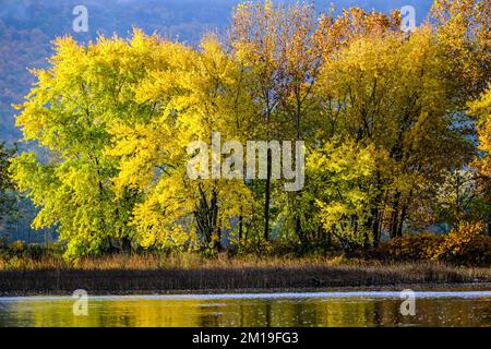 Autunno sul fiume Susquehanna, Susquehanna River Valley, vicino a Dauphin, Pennsylvania, Stati Uniti, Regione del Medio Atlantico. Foto Stock