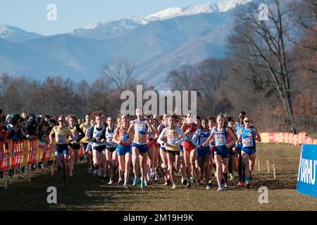 TORINO, ITALIA - DICEMBRE 11: Silke Jonkman dei Paesi Bassi gareggia nella Senior Women Race durante i Campionati europei di fondo il 11 Dicembre 2022 a Torino (Foto di Federico Tarito/BSR Agency) Credit: BSR Agency/Alamy Live News Foto Stock