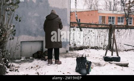 Una donna anziana nutre due gatti vaganti in una vista posteriore di giorno di inverno, prendendosi cura degli animali vaganti. Foto Stock