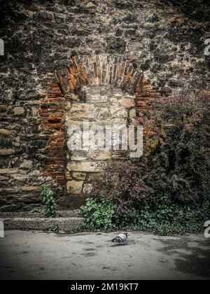 Un vecchio muro rustico con mattoni ad arco a Zagabria in autunno Foto Stock