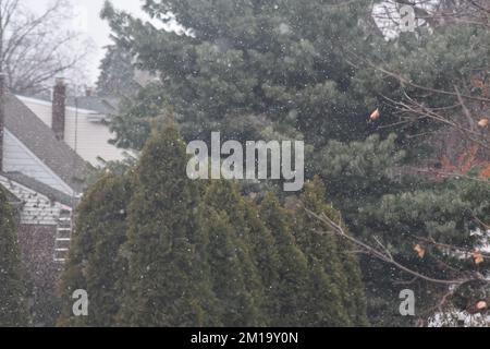 Fair Lawn, Stati Uniti. 11th Dec, 2022. La prima neve della stagione cade in Fair Lawn, New Jersey, il 11 dicembre 2022. (Foto di Kyle Mazza/Sipa USA) Credit: Sipa USA/Alamy Live News Foto Stock