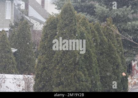 Fair Lawn, Stati Uniti. 11th Dec, 2022. La prima neve della stagione cade in Fair Lawn, New Jersey, il 11 dicembre 2022. (Foto di Kyle Mazza/Sipa USA) Credit: Sipa USA/Alamy Live News Foto Stock