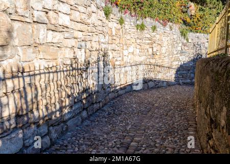 Una piccola strada con una strada acciottolata grigia e un muro con alberi verdi Foto Stock