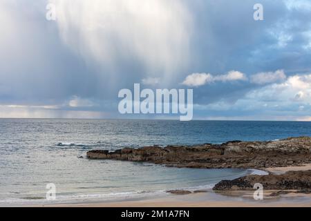 Godrevy, Cornovaglia, 11th dicembre 2022, le foche nuotano nel mare calmo di Godrevy, Cornovaglia con cieli nuvolosi e scuri sparsi attraverso la baia di St Ives. La temperatura era di 6C. Un avviso Met Office rimane in vigore per il congelamento di nebbia e ghiaccio fino a domani pranzo.Credit: Keith Larby/Alamy Live News Foto Stock