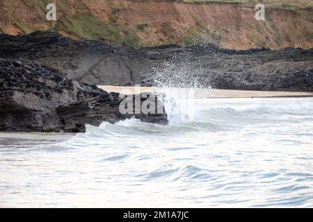 Godrevy, Cornovaglia, 11th dicembre 2022, le foche nuotano nel mare calmo di Godrevy, Cornovaglia con cieli nuvolosi e scuri sparsi attraverso la baia di St Ives. La temperatura era di 6C. Un avviso Met Office rimane in vigore per il congelamento di nebbia e ghiaccio fino a domani pranzo.Credit: Keith Larby/Alamy Live News Foto Stock