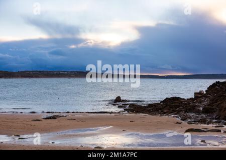 Godrevy, Cornovaglia, 11th dicembre 2022, le foche nuotano nel mare calmo di Godrevy, Cornovaglia con cieli nuvolosi e scuri sparsi attraverso la baia di St Ives. La temperatura era di 6C. Un avviso Met Office rimane in vigore per il congelamento di nebbia e ghiaccio fino a domani pranzo.Credit: Keith Larby/Alamy Live News Foto Stock