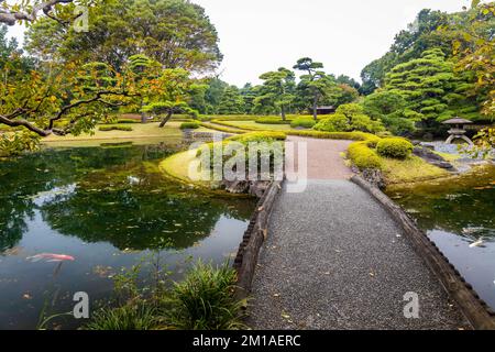 Palazzo imperiale Ninomaru Giardini ponte al laghetto in caduta Foto Stock