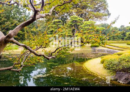 Palazzo imperiale Ninomaru Giardini ponte al laghetto in caduta Foto Stock