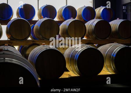 Camminando in profonde e lunghe grotte sotterranee con botti di legno, facendo spumante champagne da uve chardonnay e pinor noir a Epernay, Champag Foto Stock