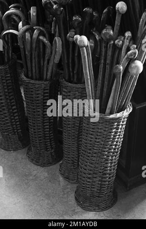 Canne a piedi al negozio di ombrelli James Smith & Son a New Oxford Street Foto Stock