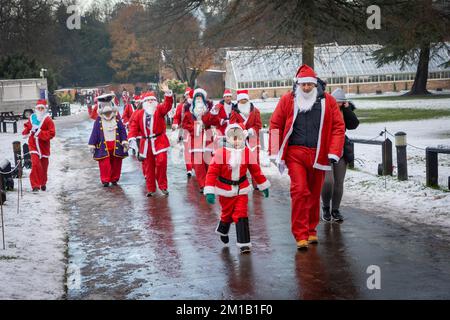 Walton Hall and Gardens, Warrington, Cheshire, Inghilterra - Domenica 11 Dicembre 2022 - Warrington Disability Partnership ha tenuto la sua seconda 3K Santa Dash intorno a Walton Gardens su un circuito scivoloso coperto di neve. Oltre 100 Santas hanno partecipato alla raccolta di fondi per il credito di beneficenza: John Hopkins/Alamy Live News Foto Stock