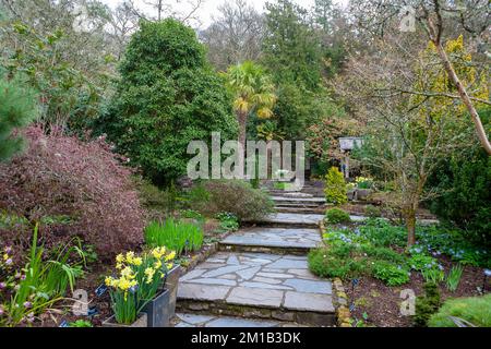 Parte del giardino di pietra, una delle parti più antiche del giardino, RHS Rosemoor, Devon, Regno Unito Foto Stock