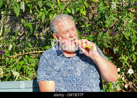 Uomo anziano o anziano seduto fuori e che mangia una carota cruda. Foto Stock