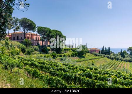 Santa Venerina, Sicilia, Italia - 24 luglio 2020: Paesaggio italiano con ulivi e vigneti, architettura di campagna siciliana, visita di Sicilia Foto Stock