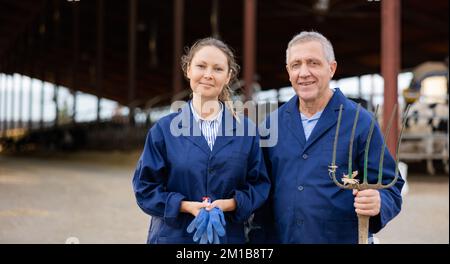 Allevatori esperti di sesso femminile e maschile in piedi in stalla sullo sfondo con mandria di mucche in fattoria Foto Stock