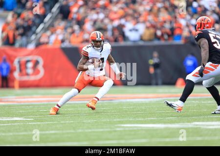 Cincinnati, Ohio, Stati Uniti. 11th Dec, 2022. Quarto Deshaun Watson (4) dei Cleveland Browns durante LA SETTIMANA 14 della stagione regolare NFL tra i Cleveland Browns e Cincinnati Bengals a Cincinnati, Ohio. JP Waldron/Cal Sport Media/Alamy Live News Foto Stock