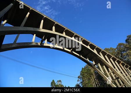 In piedi sotto il ponte di Gulch russo - California Foto Stock