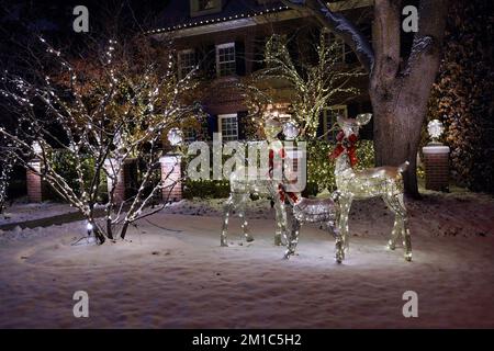 Forme renne illuminate come decorazioni natalizie nel cortile di casa Foto Stock