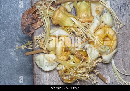 Primo piano del caduto fiore di Durio zibethinus Foto Stock