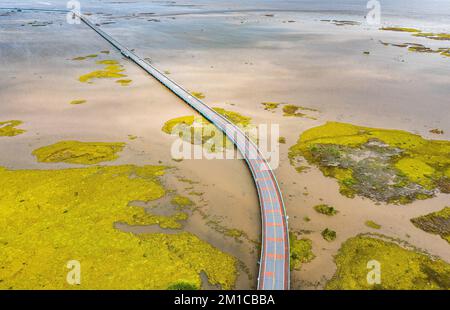 Thale noi ponte a Phatthalung, Thailandia Foto Stock