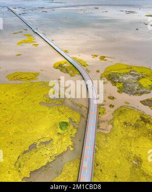 Thale noi ponte a Phatthalung, Thailandia Foto Stock