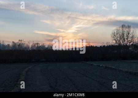 tramonto sul frutteto di pesche in autunno Foto Stock