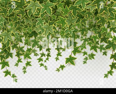 sfondo, tessitura, foglie artificiali di una pianta, un bindweed,  sull'ornamento da rami asciutti sono situati su una superficie di legno  Foto stock - Alamy