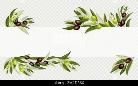 Rami d'oliva con frutti neri e verdi e foglie isolate su fondo trasparente. Modello banner con bordo di rametti di alberi mediterranei con olive, disegno vettoriale realistico Illustrazione Vettoriale