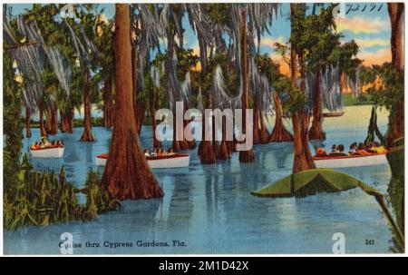 Crociera attraverso i Cypress Gardens, Fla. , Tichnor Brothers Collection, cartoline degli Stati Uniti Foto Stock
