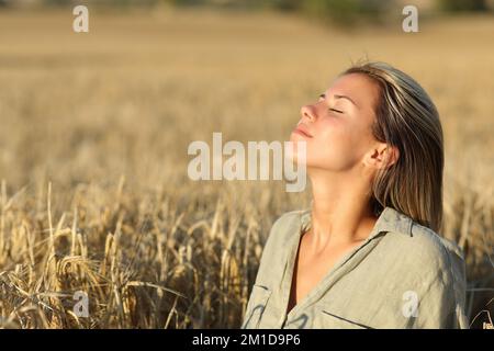 Donna rilassata respirare aria fresca in un campo di grano dorato al tramonto Foto Stock