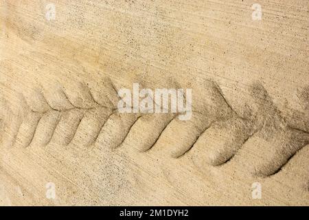 Tracce di pneumatici segni di pneumatici su cemento come trama astratta grunge Foto Stock