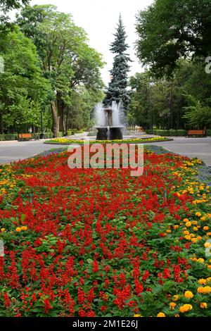 Parco di quercia, letto di fiori, Bishkek, Kirghizistan Foto Stock