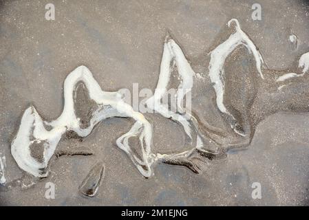 Surf sulla sabbia, Bhagal Beach, Valsad, Gujarat, India, Asia Foto Stock